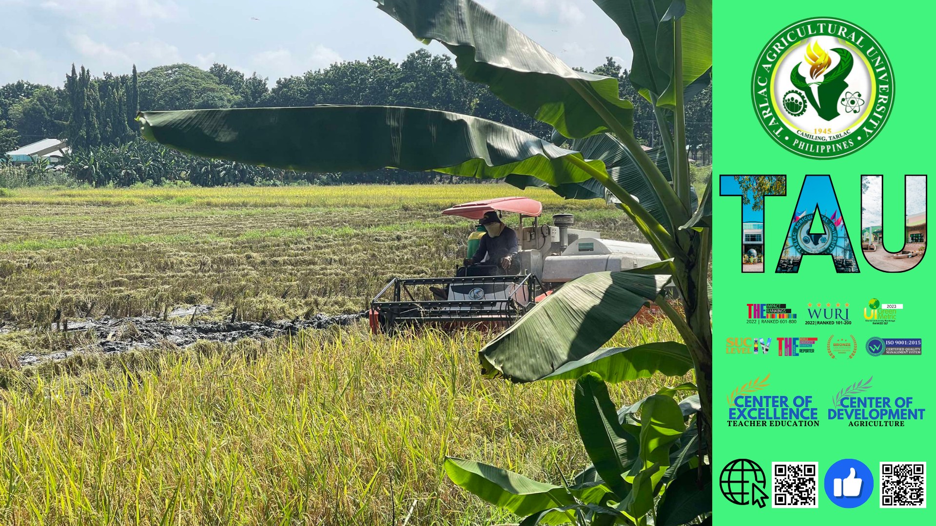 𝐂𝐀𝐏𝐓𝐔𝐑𝐄𝐃 𝐈𝐍 𝐋𝐄𝐍𝐒 | Students of Tarlac Agricultural University (TAU), along with Peace Corps Volunteers, take the opportunity to learn about the intricacies of rice harvesting and the production of palay, 9 October